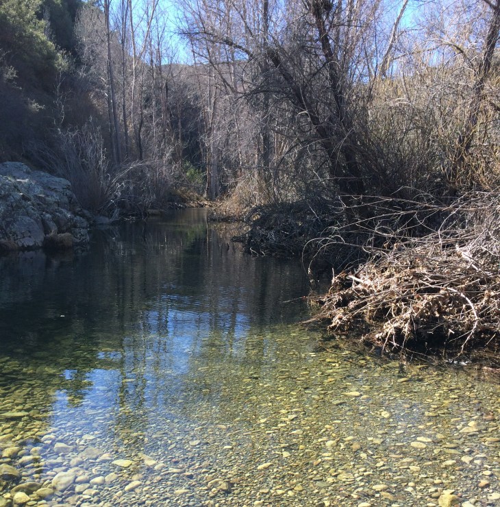 Rose Valley IMG_9694