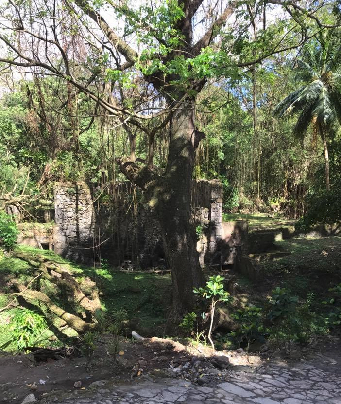 St. Lucia abandoned sugar mill