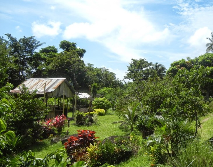 st lucia_fond_gens_libre