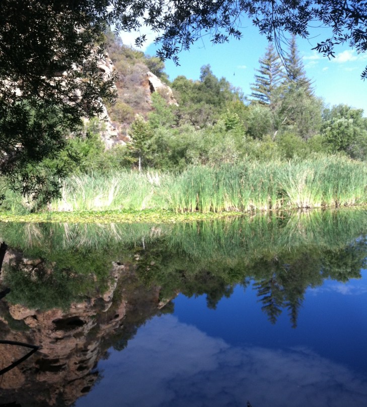 Malibu creek beauty