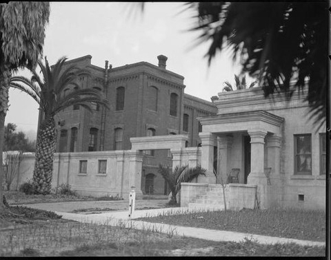Two Trees girl school