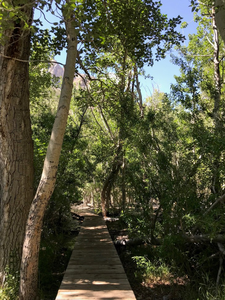 Convict lake wooden trail